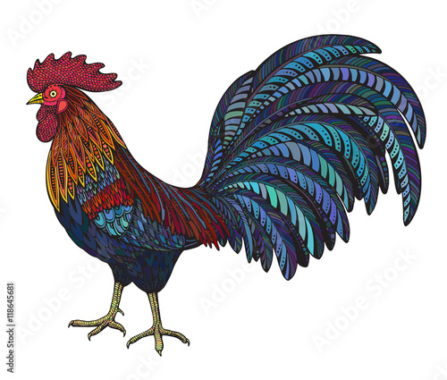 Colorful hand drawn vector illustration of fiery rooster