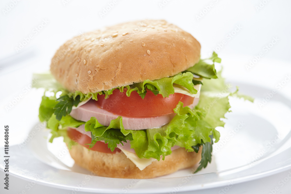 sandwich isolated on white sandwich isolated on white