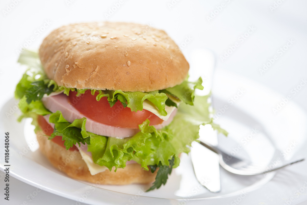sandwich isolated on white sandwich isolated on white