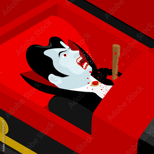 Death of Dracula. Vampire Count in an open coffin. Aspen stake i