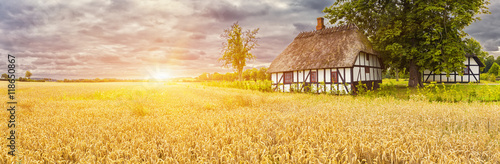 Typical Danish Picturesque old houses and wheatfield at Sunrise photo