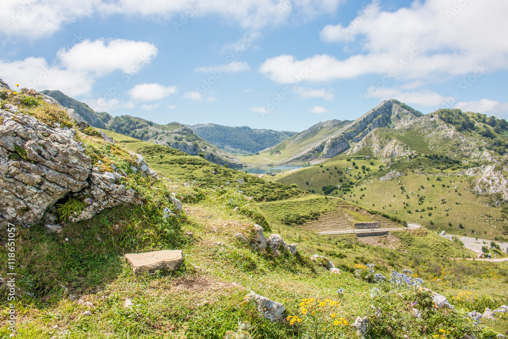 Fototapeta premium Parque Nacional de los Picos de Europa (Picos d’Europa) Asturies (Asturien, Asturias) Spanien (España)