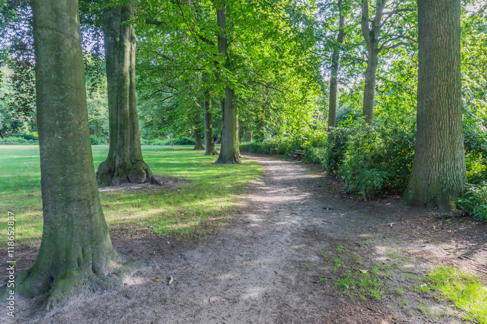 park split road landscape