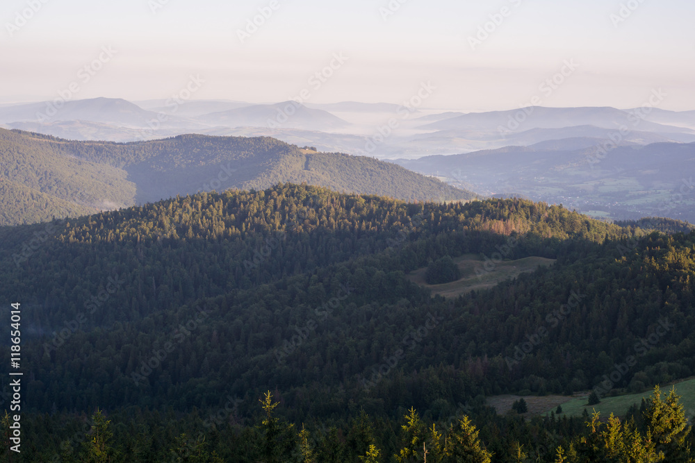 Beskid wyspowy w porannej mgle, widok z Gorców