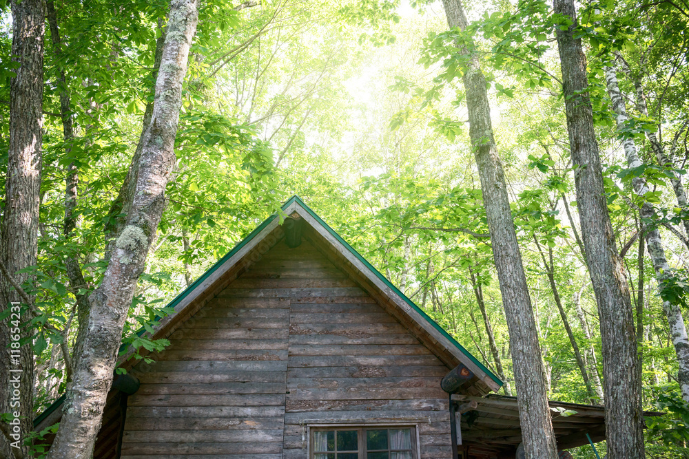 森の中の家 Stock 写真 Adobe Stock