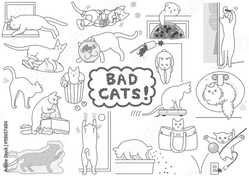 Photography bad cats set