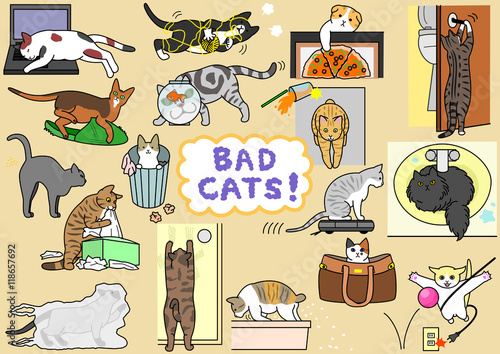 bad cats set