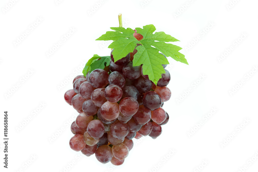 Fototapeta premium red grape isolated on white background