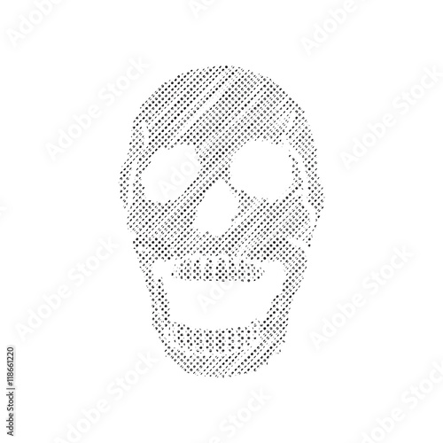 Black and white human skull