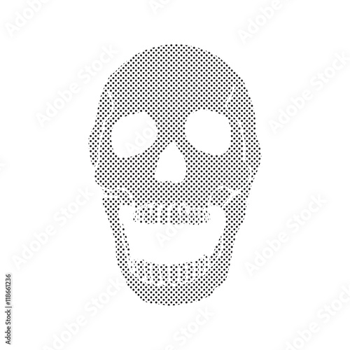 Black and white human skull