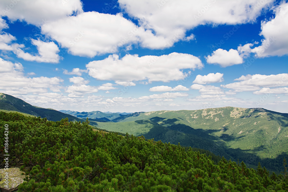 Fototapeta premium Summer morning in the mountains. Carpathian, Ukraine, Europe.