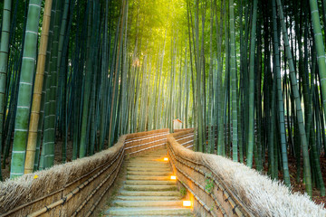Fotobehang Japan Bamboebos van Arashiyama in Japan  © vichie81