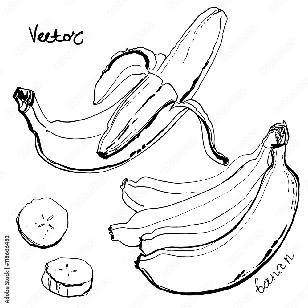 Um desenho de bananas com a palavra banana
