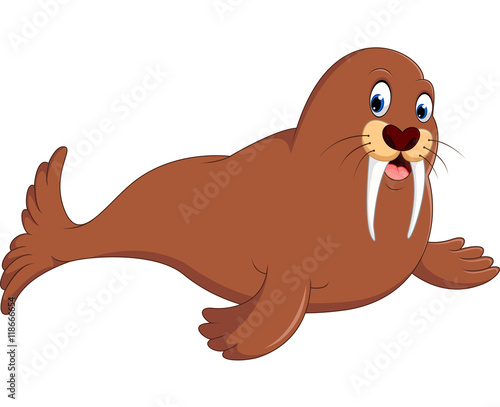 Cute walrus cartoon
