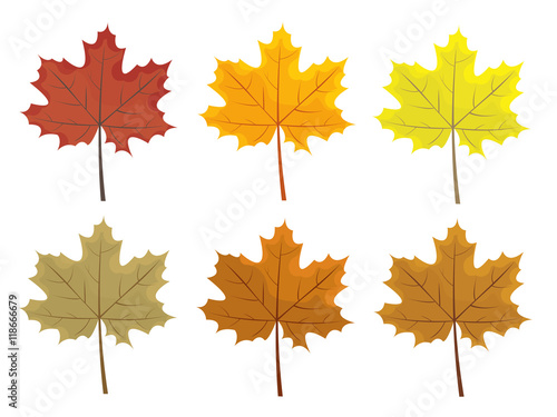 Set of colorful autumn leaves. Cartoon and flat style leafs. White background. Vector illustration.