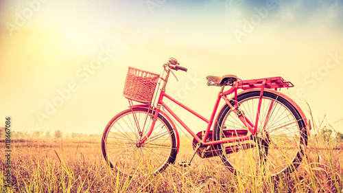 Vintage Bicycle with summer landscape background