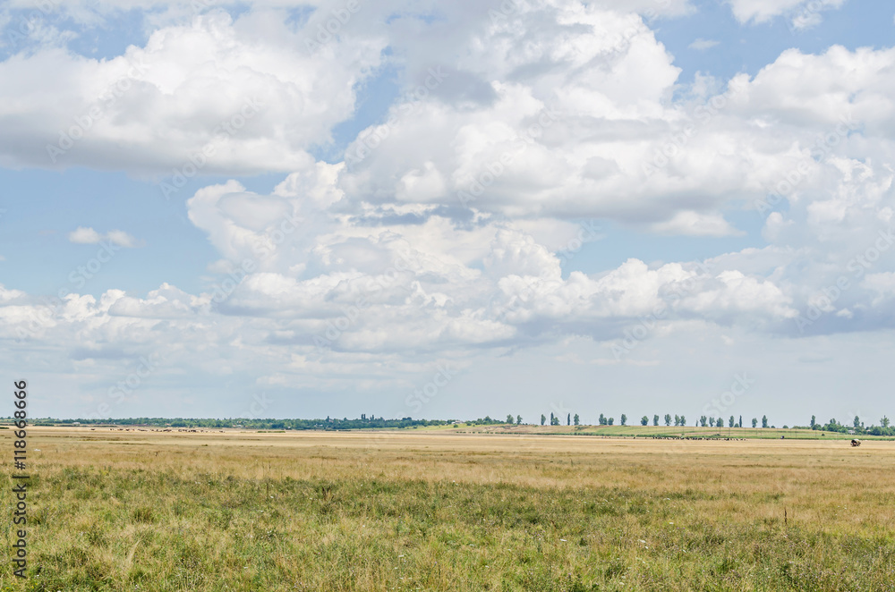 Countryside field, meadow, blue clouds sky, plowed field, outdoor