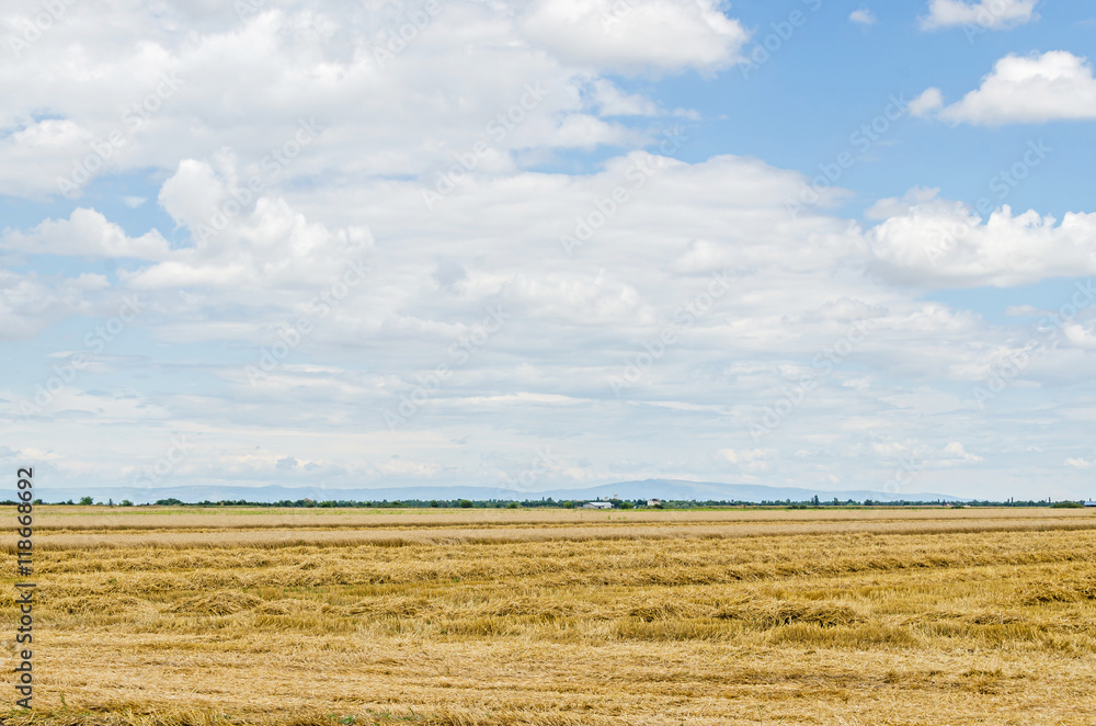 Countryside field, meadow, blue clouds sky, plowed field