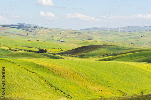 Fields on the Hills