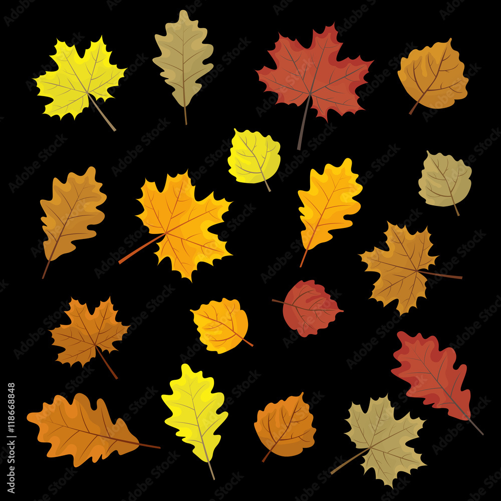 Set of colorful autumn leaves. Design elements Vector illustration. Leafs in random. Black background.