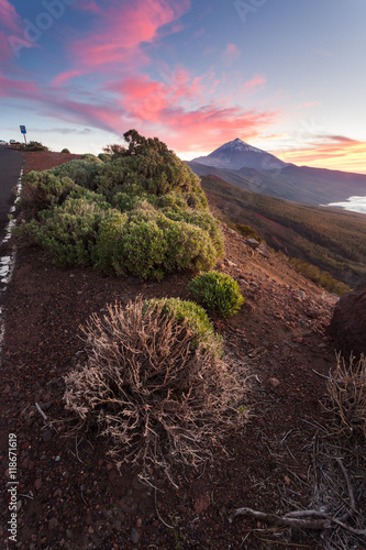 Teneriffa - Kanarische Inseln - Spanien
