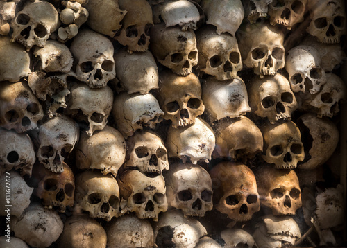 many human skulls