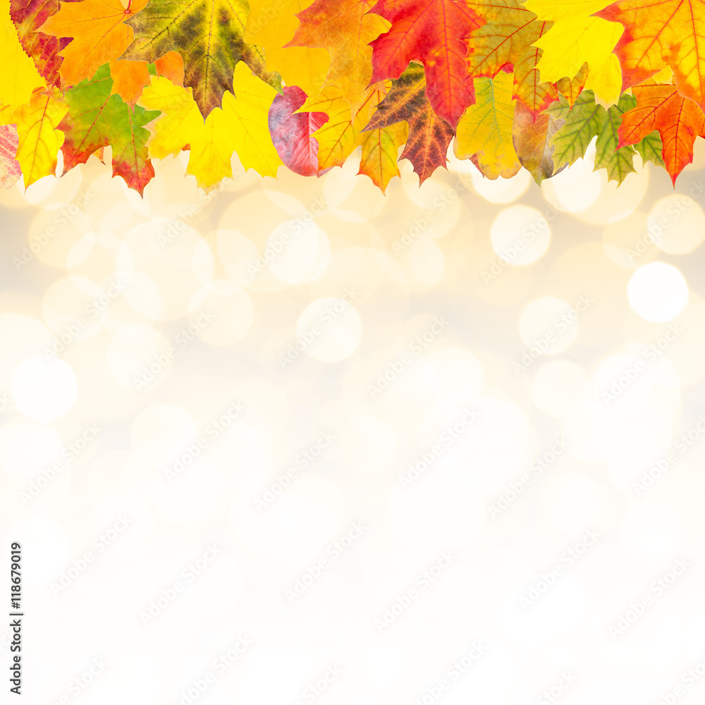 Autumn background Autumn background