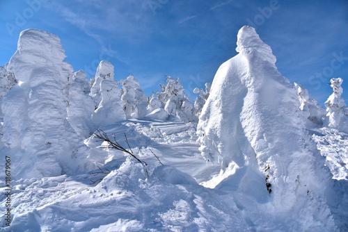蔵王の樹氷