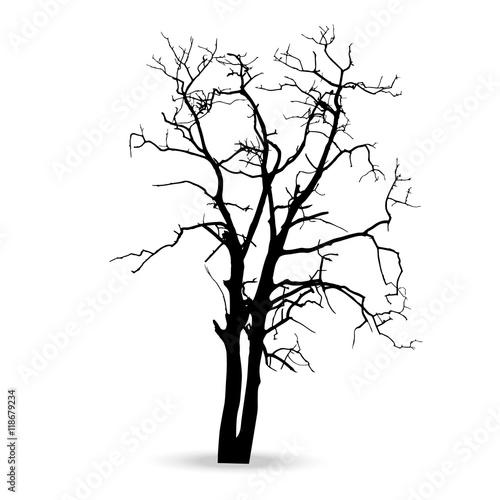 vector black silhouette of a bare tree