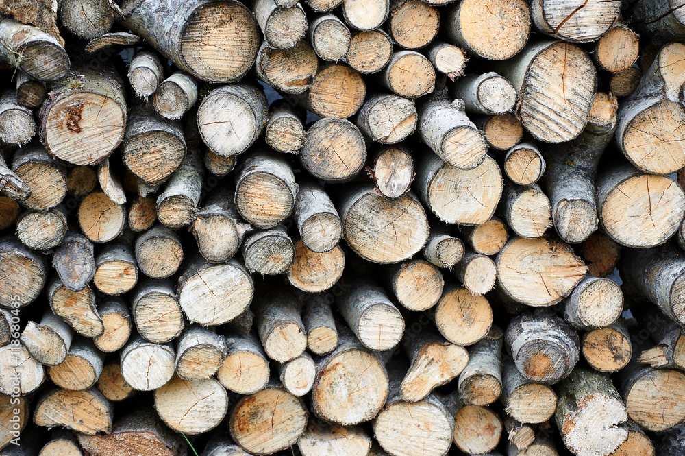Stack of wood in country side Stack of wood in country side
