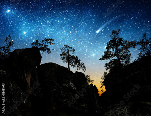 The night sky on the background of mountains and trees. Elements of this image furnished by NASA.