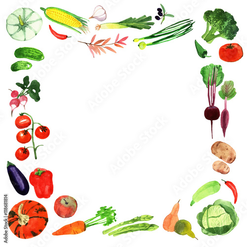 Fototapeta Naklejka Na Ścianę i Meble -  watercolor vegetables frame.Template for your design.
