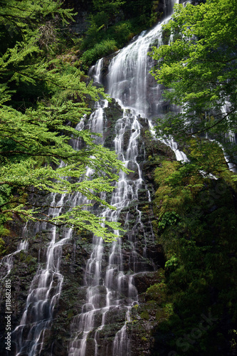 日本の滝百選　龍双ヶ滝　福井県池田町