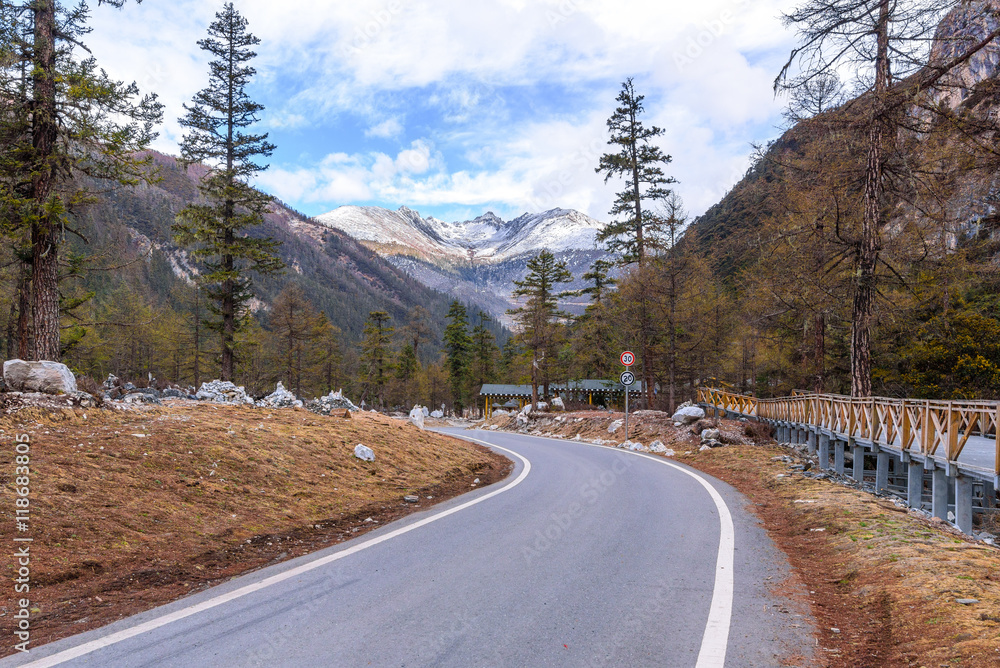 Naklejka premium road to the snow mountain with pine forest on the way.