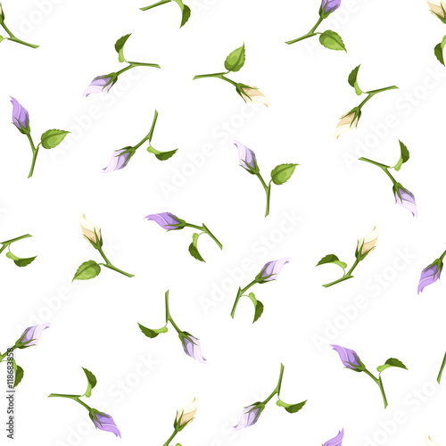 Vector seamless pattern with purple and white flower buds on a white background.