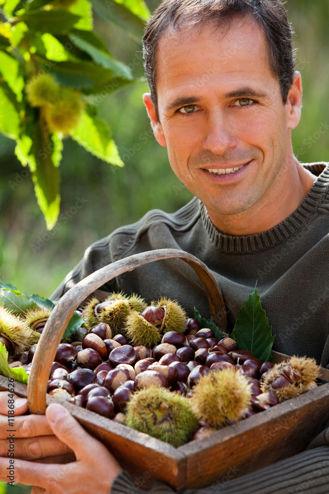 portrait d'homme souriant avec un panier de châtaignes Stock Photo | Adobe  Stock