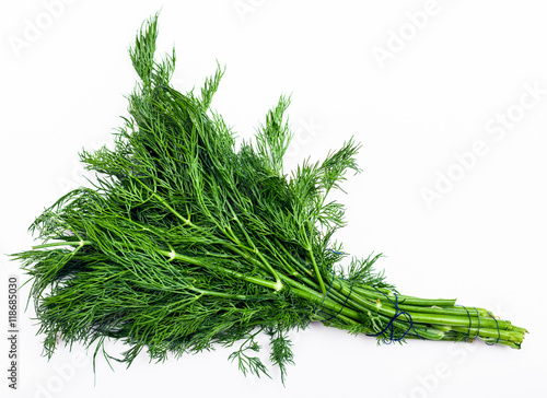 bunch of fresh cut green dill herb on white