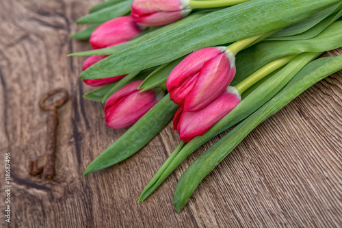 Red tulips on a wooden background