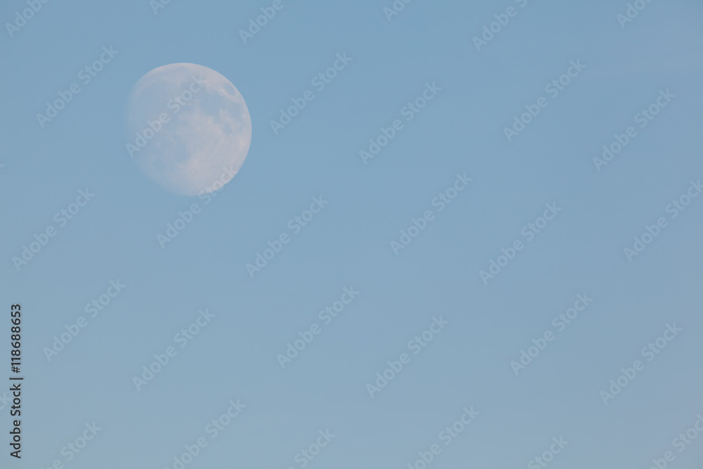 Moon Moon