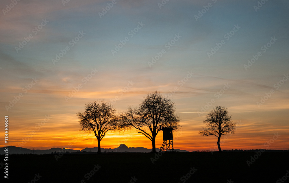 hunting lodge between trees at sunset