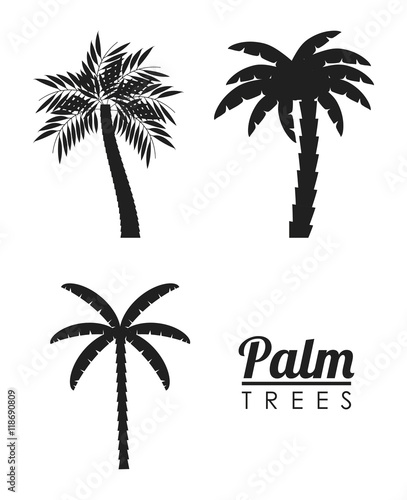 palm tree tropical nature summer beach plant icon set. Silhouette and isolated design. Vector illustration