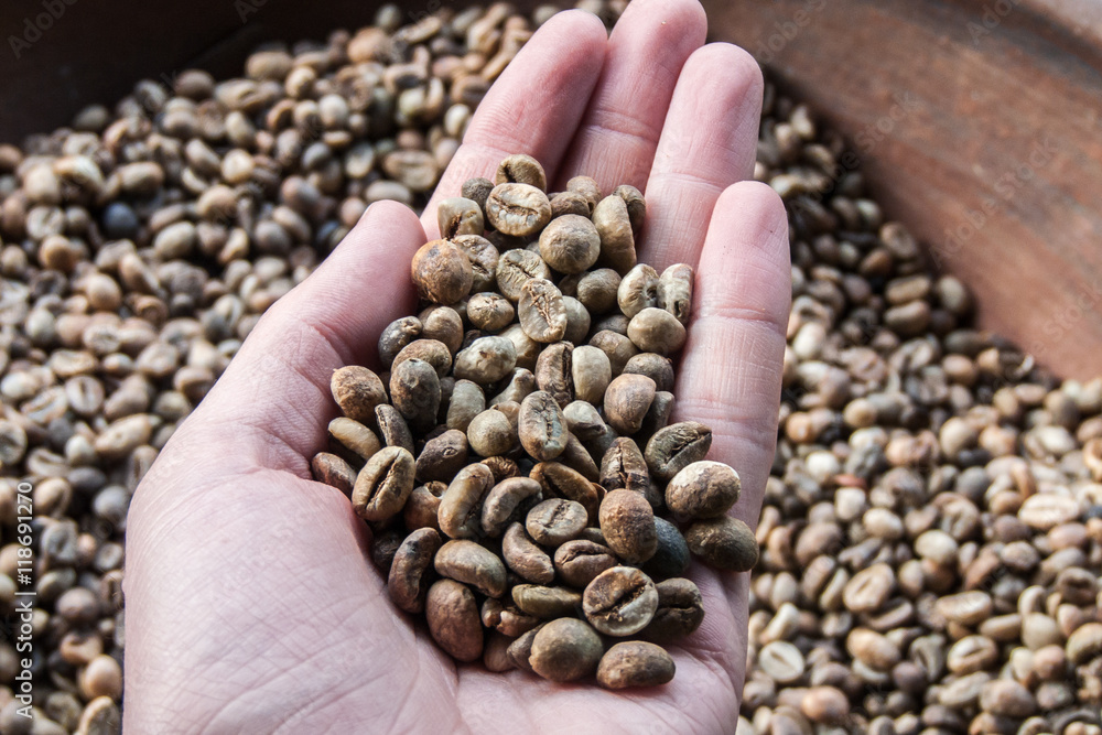 Grains de café Kopi Luwak, Indonésie Grains de café Kopi Luwak, Indonésie