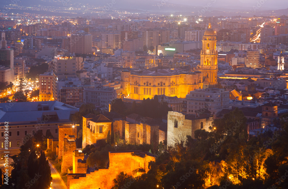  Malaga Cathedral and cityspace from castle in night