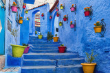 Blue staircase and wall decorated with colourful flowerpots, Chefchaouen medina in Morocco.