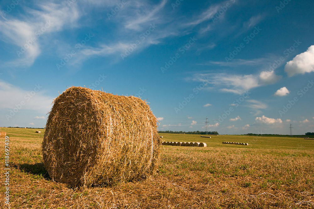 Rural landscape. Hay bales on the field after harvest