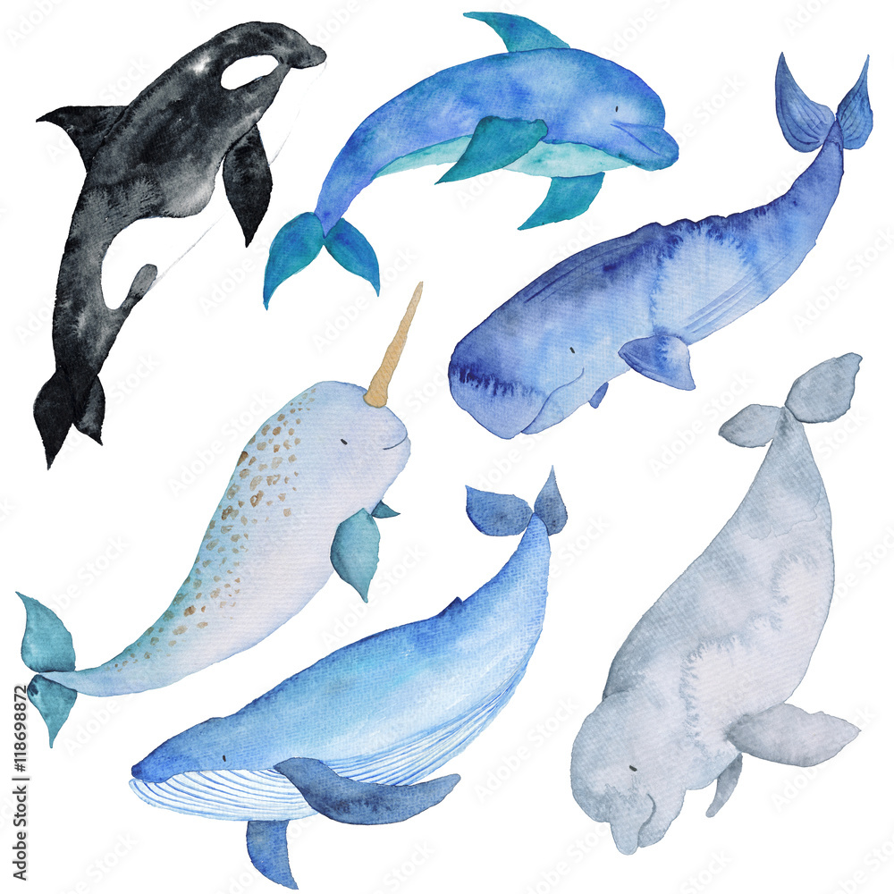 Naklejka premium Whales Set Watercolor hand-painted Illustration Sea animals Blue Whales Isolated Cute Kids 