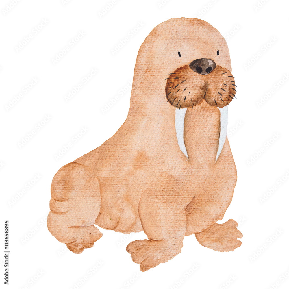 Fototapeta premium Walrus Whale Watercolor hand-painted Illustration Sea animals Blue Whales Isolated Cute Kids