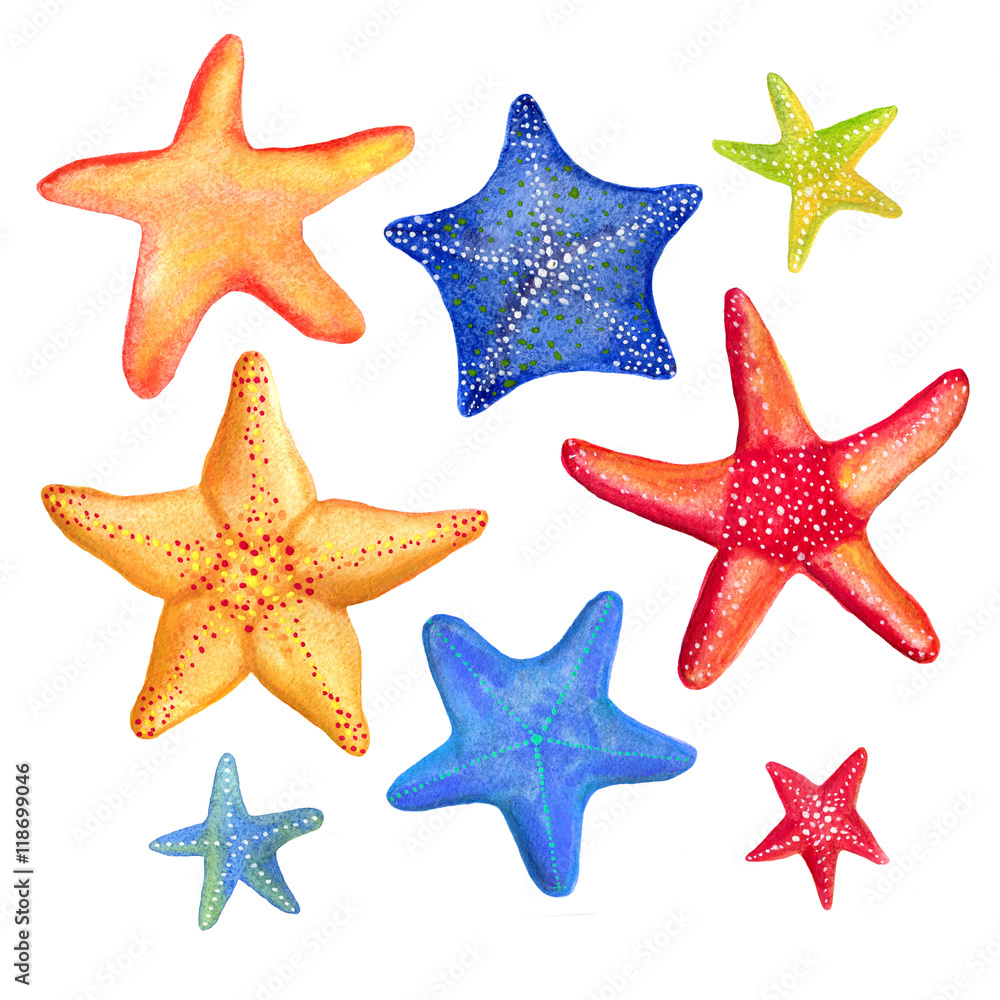 Watercolor marine starfish set Watercolor marine starfish set