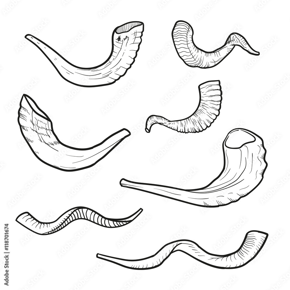Shofar Drawing