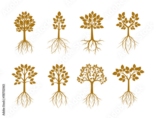 Set Golden Trees and Roots. Vector Illustration.